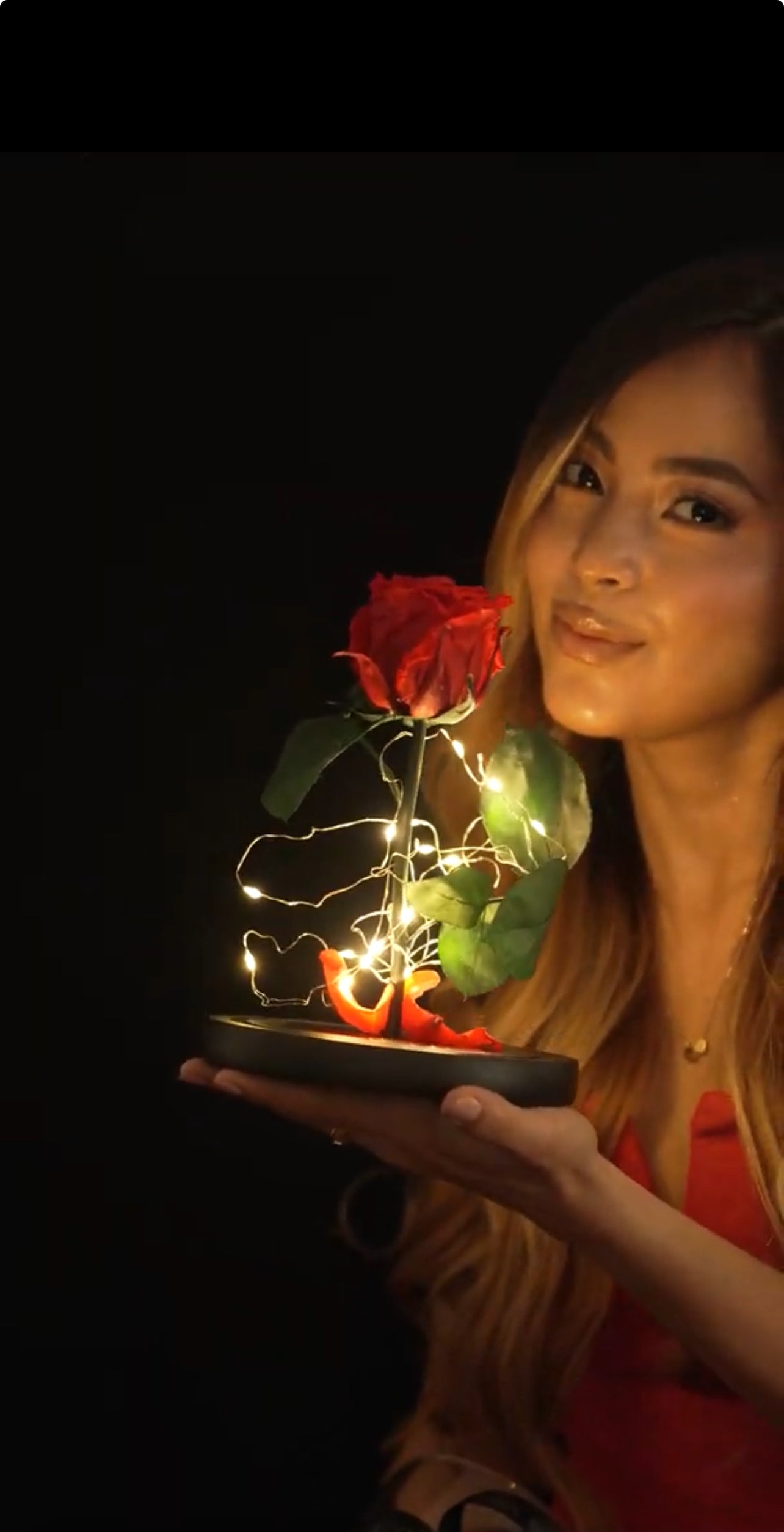 VALENTINE´S DAY ROSE DOME WITH LIGHTS
