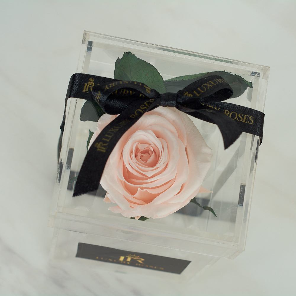 LONG LASTING LIGHT PINK ROSE- ACRYLIC BOX