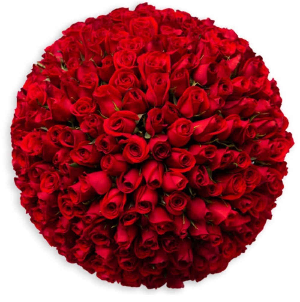 DELUXE FRESH ROSES ARRANGEMENT β Luxury Roses