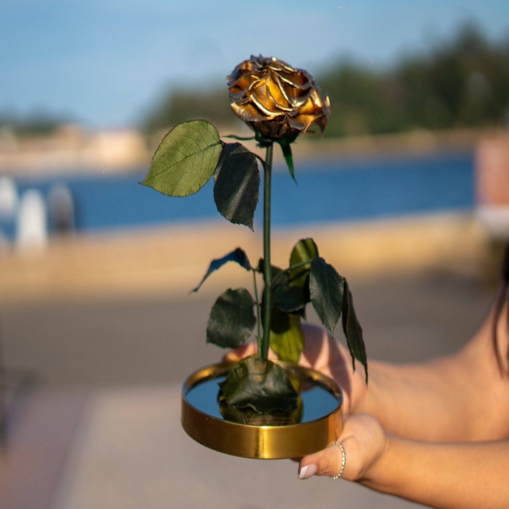 LUXURY GOLD LONG LASTING ROSE – Luxury Roses