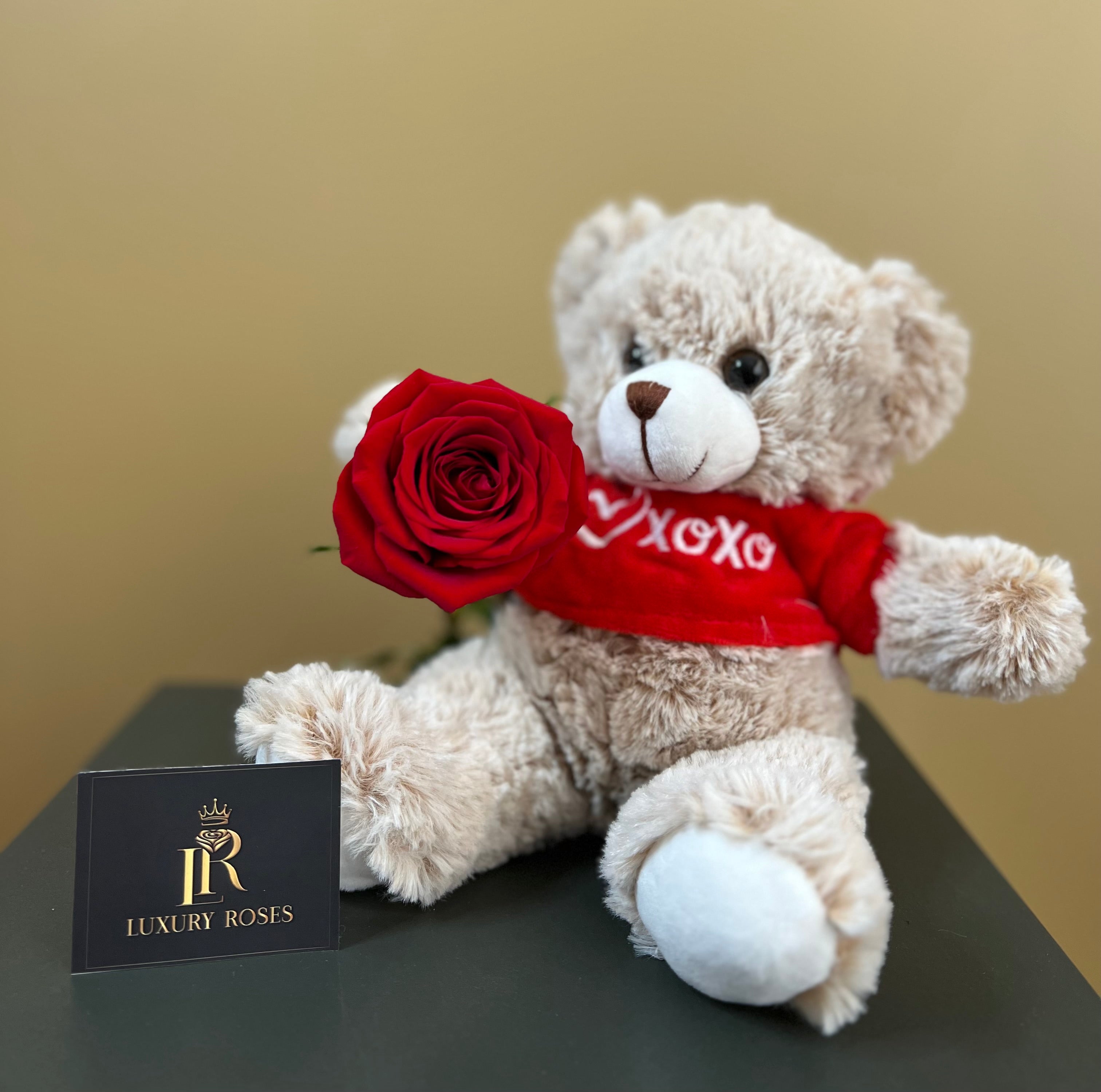 Red Roses Teddy SINGLE LONG STEMMED RED ROSE & TEDDY BEAR – Luxury Roses